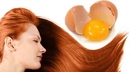 Yumurtayla Saç Bakımı Uygulanışı ve Faydaları Nelerdir?